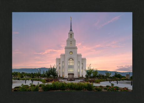 Layton Temple - Morning Light
