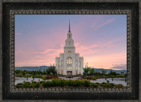 Layton Temple - Morning Light