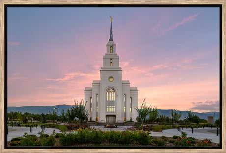 Layton Temple - Morning Light