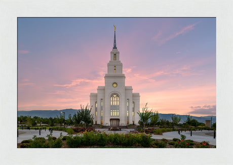 Layton Temple - Morning Light