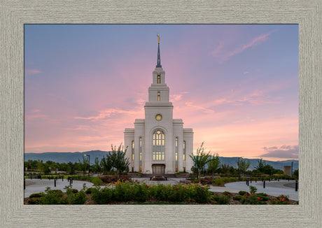 Layton Temple - Morning Light