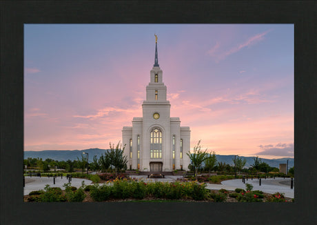 Layton Temple - Morning Light