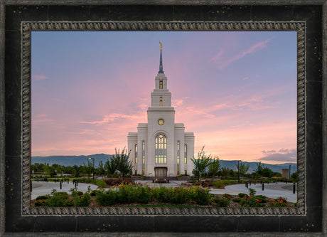 Layton Temple - Morning Light