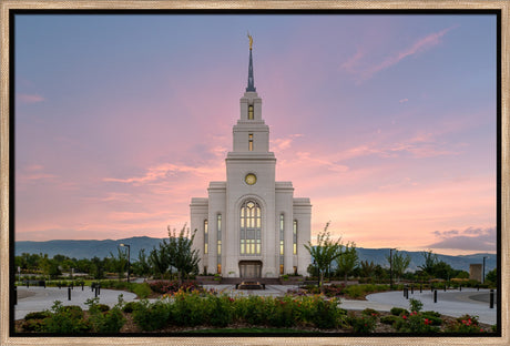 Layton Temple - Morning Light