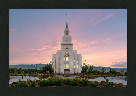 Layton Temple - Morning Light