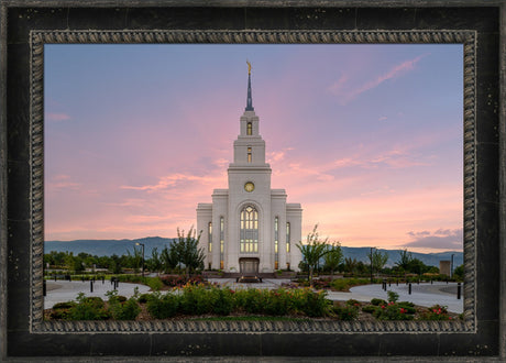 Layton Temple - Morning Light