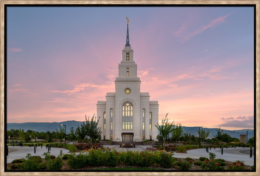 Layton Temple - Morning Light