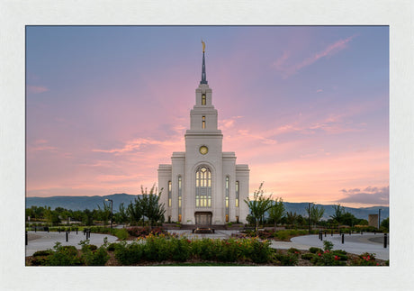 Layton Temple - Morning Light
