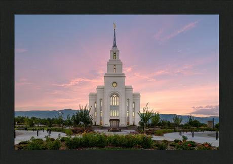 Layton Temple - Morning Light