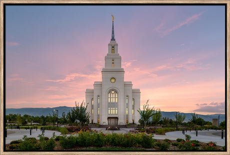 Layton Temple - Morning Light