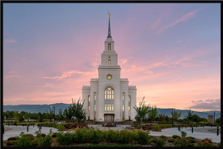 Layton Temple - Morning Light