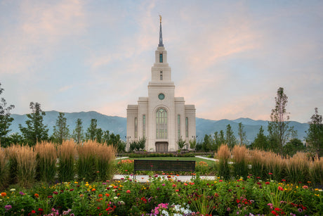 The Layton Utah Temple with flowers.