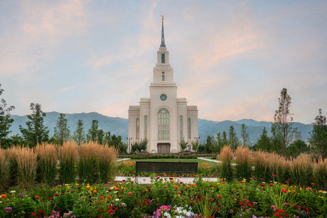 Layton Temple - Flowers