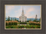 Layton Temple - Flowers