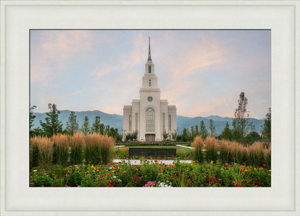 Layton Temple - Flowers