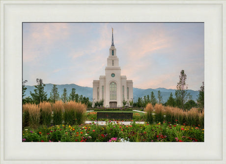 Layton Temple - Flowers