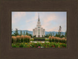 Layton Temple - Flowers