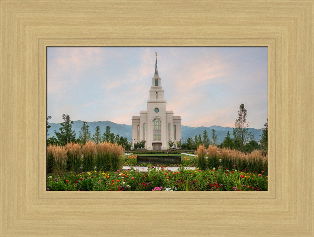 Layton Temple - Flowers