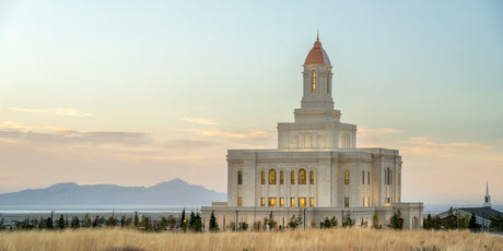 Deseret Peak Temple - Field