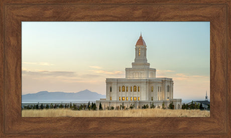 Deseret Peak Temple - Field