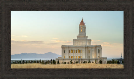 Deseret Peak Temple - Field