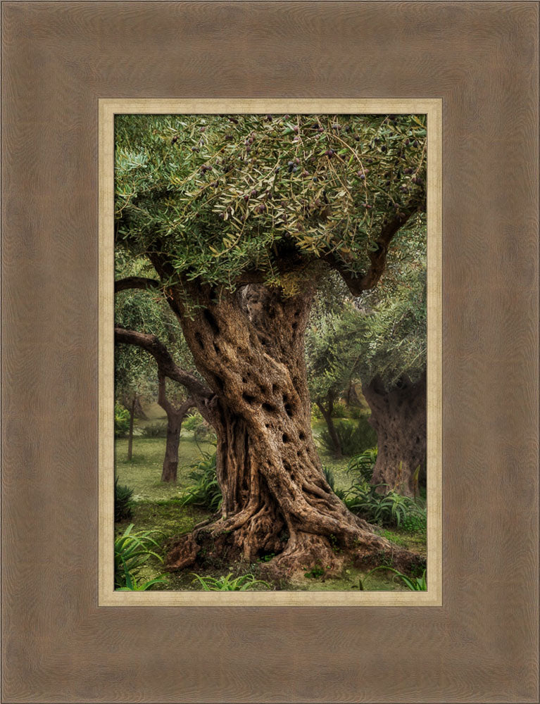 Gethsemane