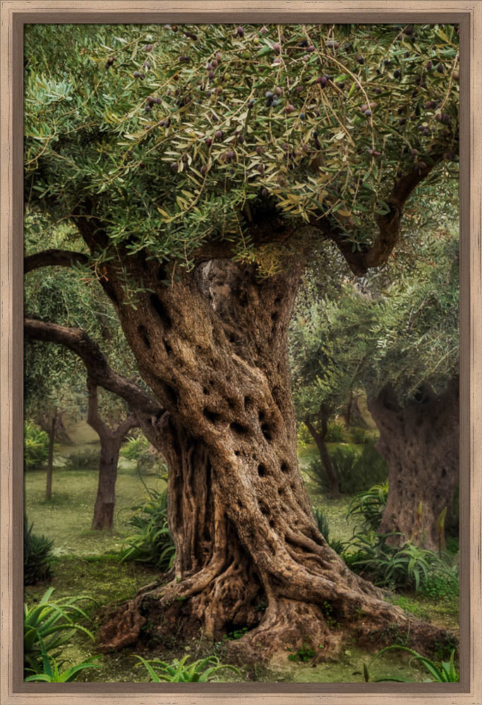 Gethsemane