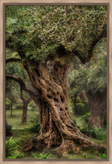 Gethsemane