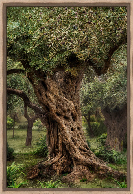 Gethsemane