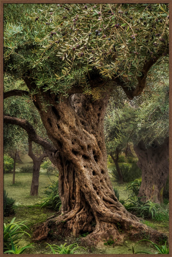 Gethsemane