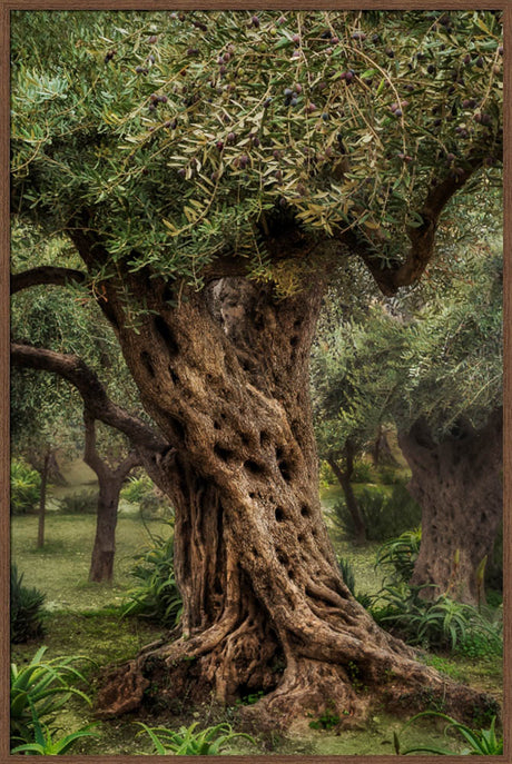 Gethsemane