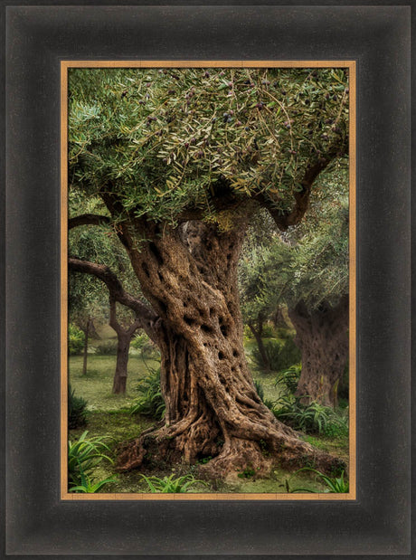 Gethsemane
