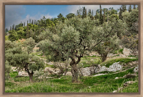 Mount of Olives
