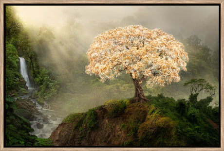 Tree of Life by Robert A Boyd
