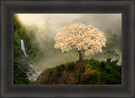 Tree of Life by Robert A Boyd