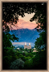 Logan Temple - Framed by Trees