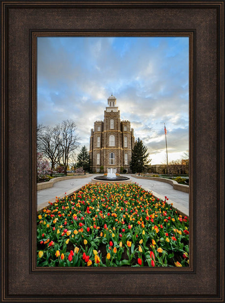 Logan Temple - Tulips