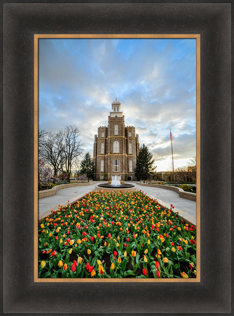 Logan Temple - Tulips