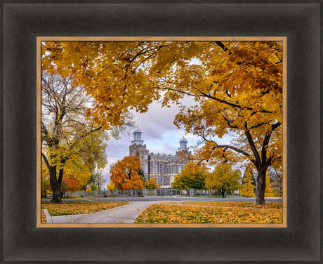 Logan Temple - Tunnel of Fall