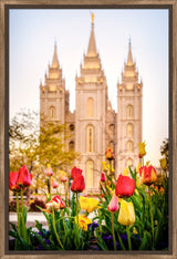 Salt Lake Temple - Tulips