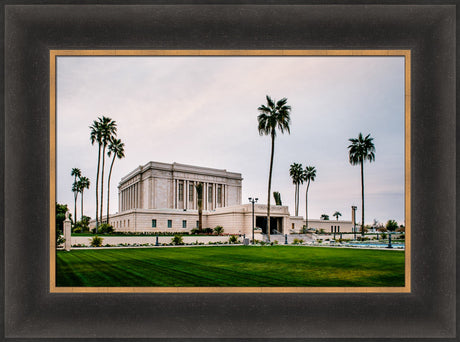 Mesa Temple - Palm Trees