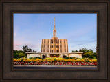 Seattle Temple - Flower Garden