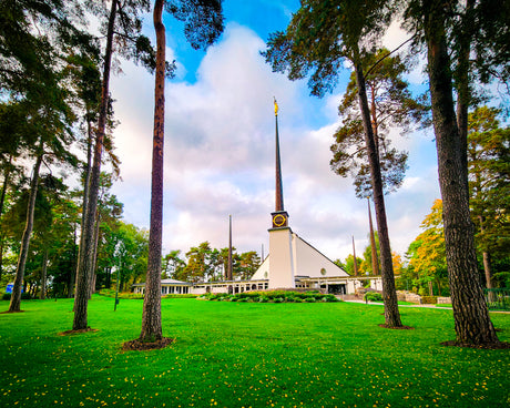 Stockholm Sweden Temple - Through the Trees