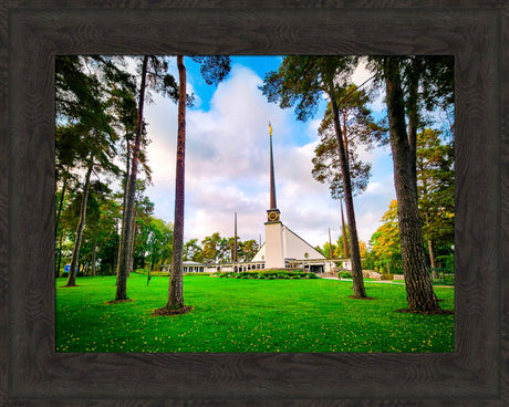 Stockholm Sweden Temple - Through the Trees