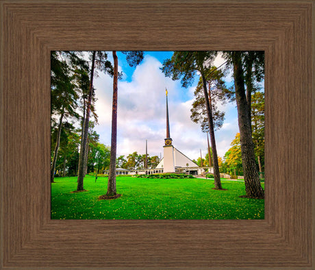 Stockholm Sweden Temple - Through the Trees