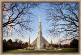 Chicago Temple - Through Trees Horizontal