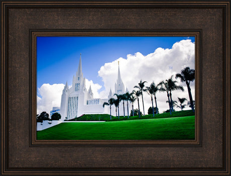 San Diego Temple - Summer Palms