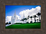 San Diego Temple - Summer Palms