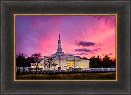 Detroit Temple - Pink Sunset