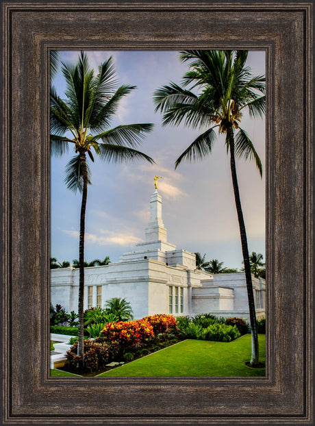 Kona Temple - Palm Trees